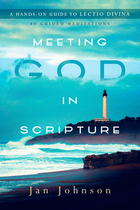 Cover image for book Meeting God in Scripture
