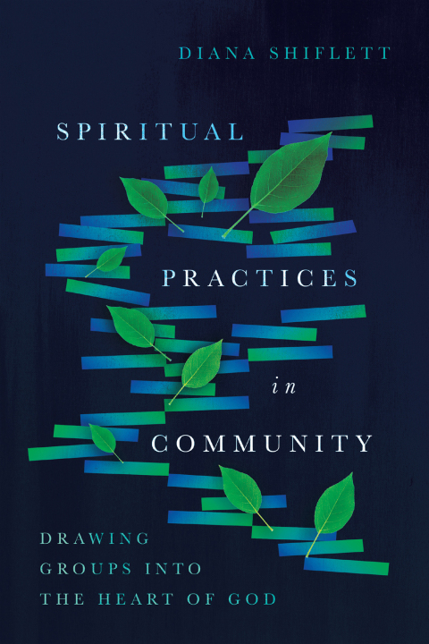 Cover image for book Spiritual Practices in Community