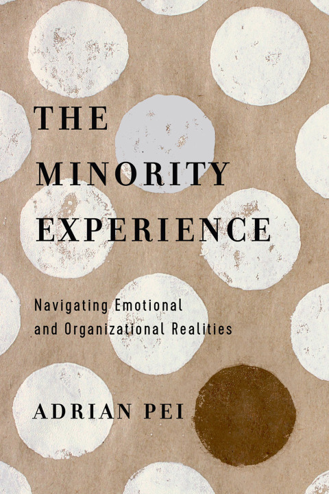 Cover image for book The Minority Experience