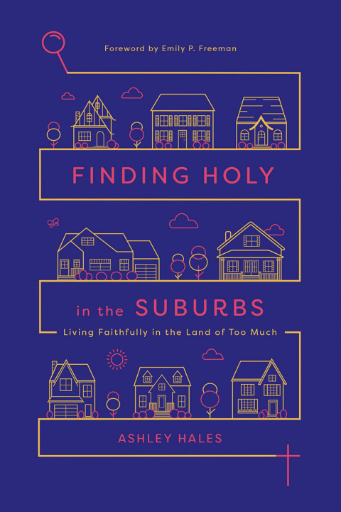Cover image for book Finding Holy in the Suburbs