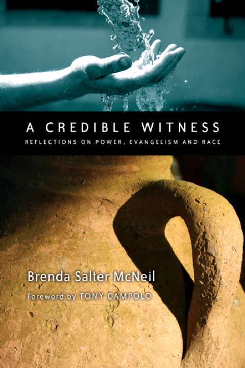 Cover image for book A Credible Witness