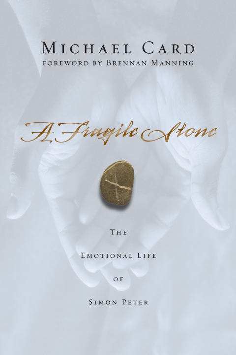 Cover image for book A Fragile Stone
