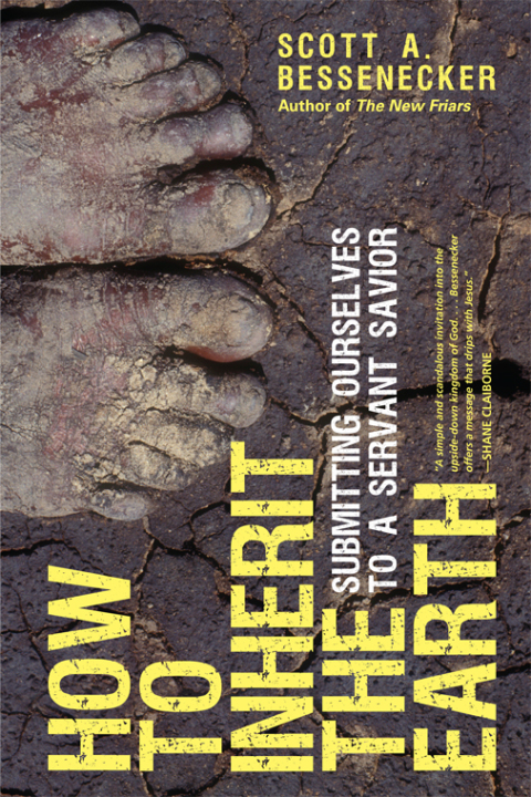 Cover image for book How to Inherit the Earth