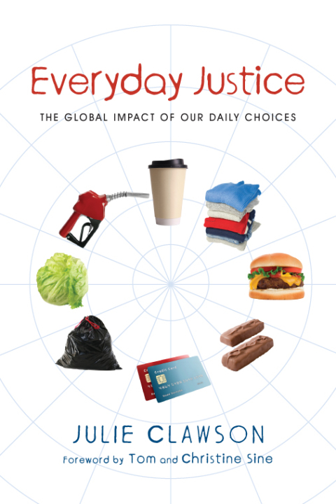 Cover image for book Everyday Justice