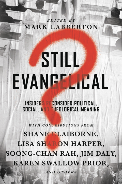 Cover image for book Still Evangelical?