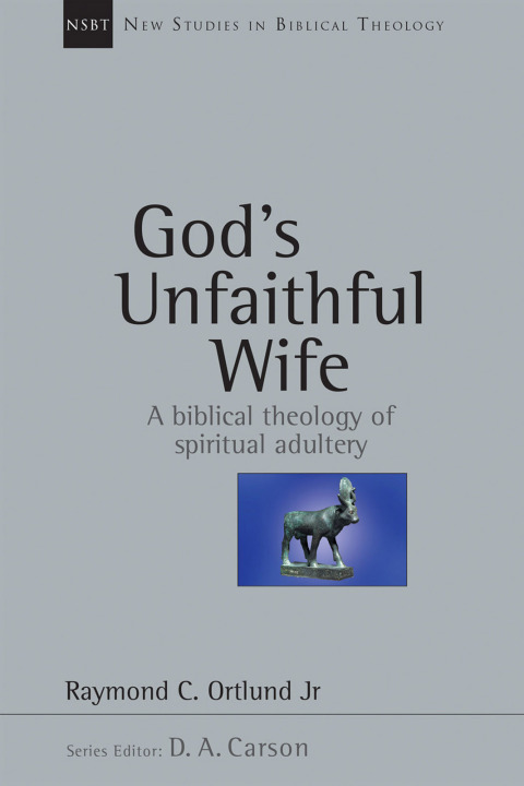 Cover image for book God's Unfaithful Wife