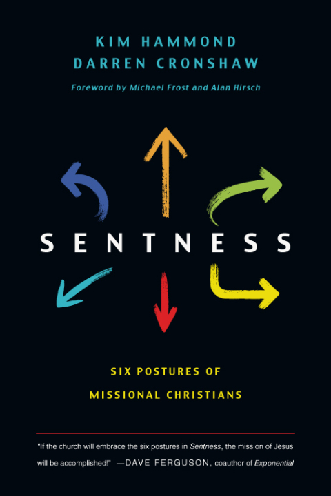 Cover image for book Sentness