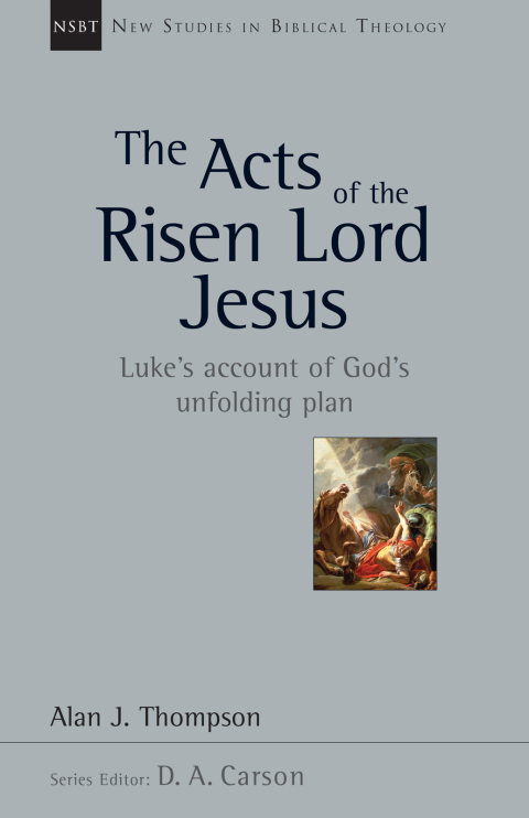 Cover image for book The Acts of the Risen Lord Jesus