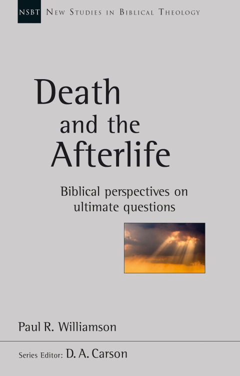 Cover image for book Death and the Afterlife