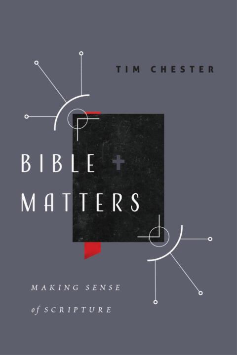Cover image for book Bible Matters