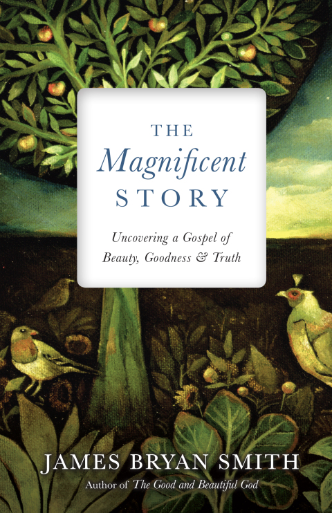 Cover image for book The Magnificent Story