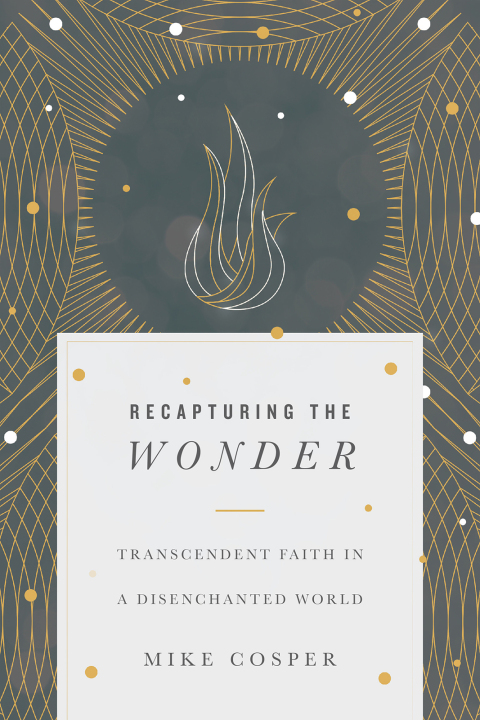 Cover image for book Recapturing the Wonder