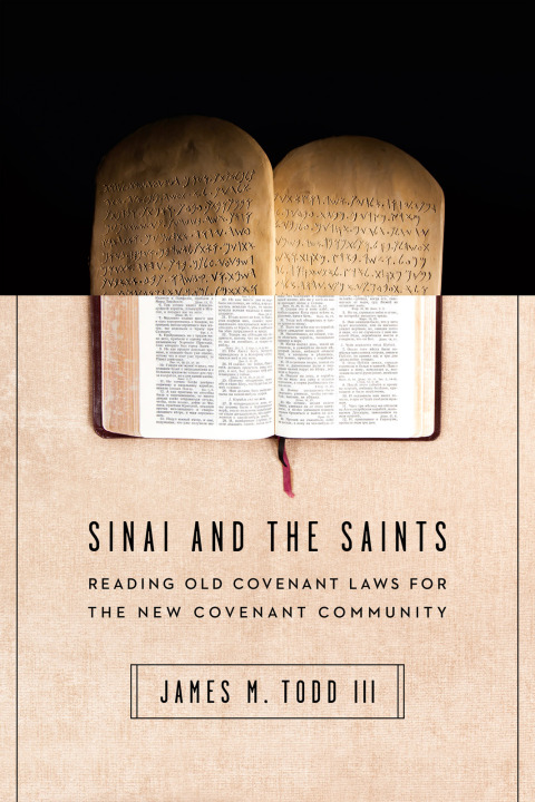 Cover image for book Sinai and the Saints
