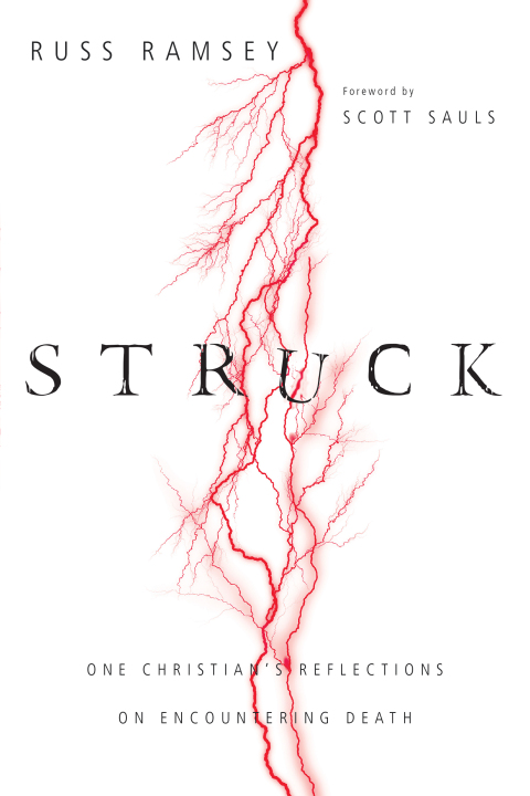 Cover image for book Struck