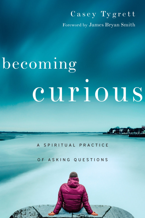 Cover image for book Becoming Curious
