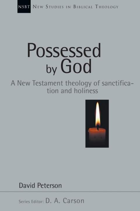 Cover image for book Possessed by God