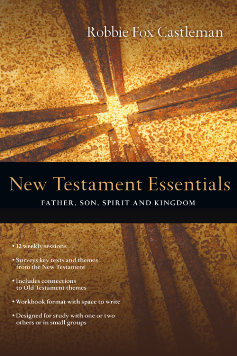 Cover image for book New Testament Essentials