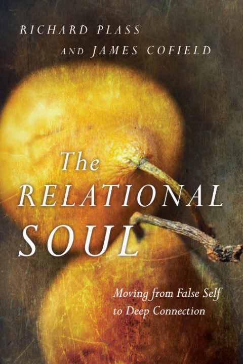 Cover image for book The Relational Soul
