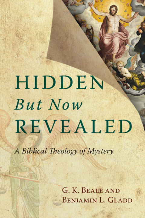 Cover image for book Hidden But Now Revealed