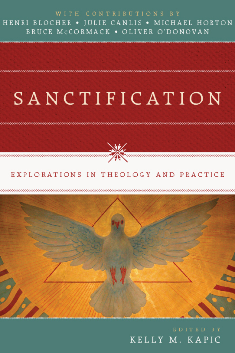 Cover image for book Sanctification
