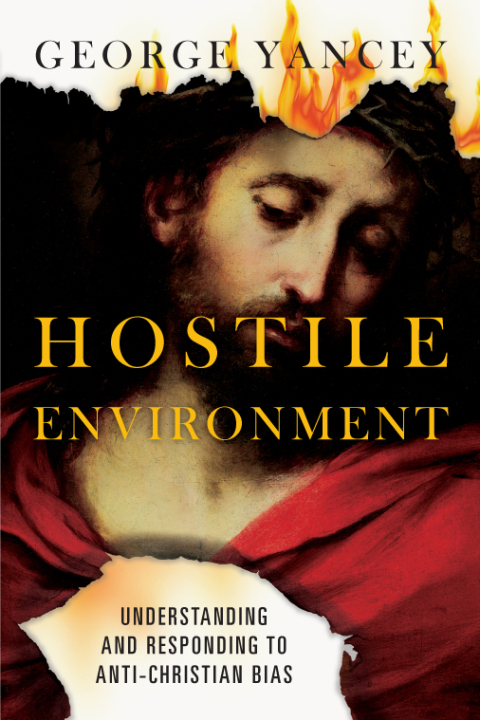 Cover image for book Hostile Environment
