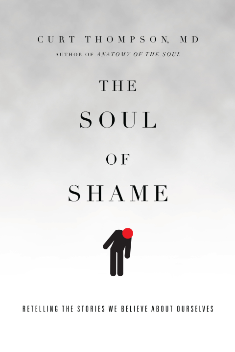 Cover image for book The Soul of Shame