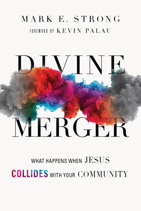 Cover image for book Divine Merger