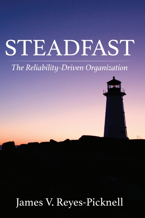 Cover image for book Steadfast