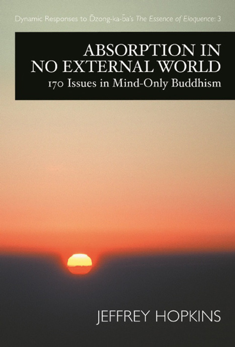 Cover image for book Absorption in No External World