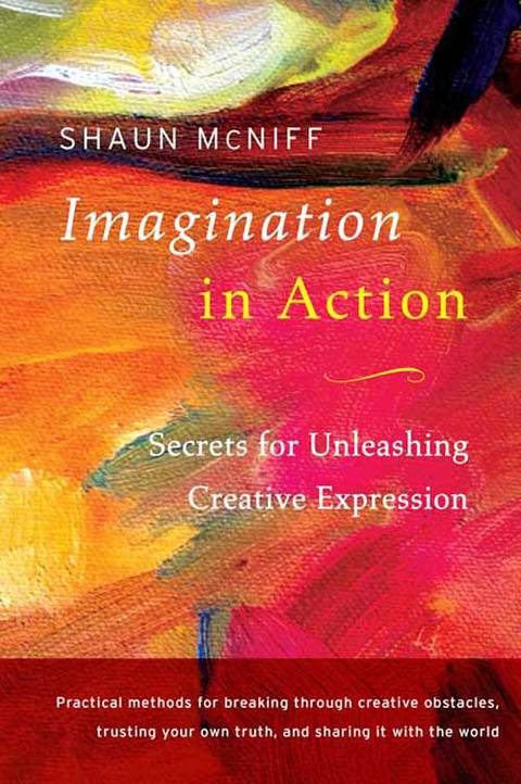 Cover image for book Imagination in Action