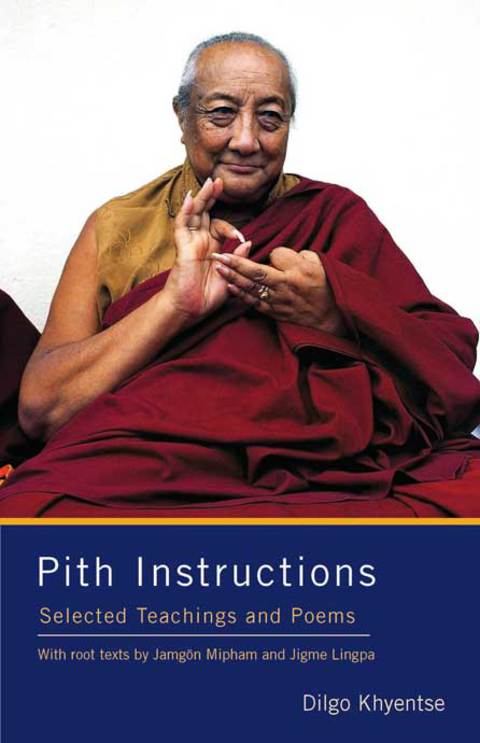 Cover image for book Pith Instructions