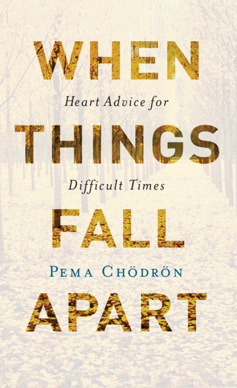 Cover image for book When Things Fall Apart