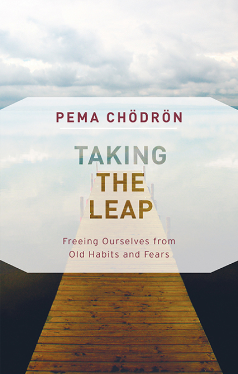 Cover image for book Taking the Leap