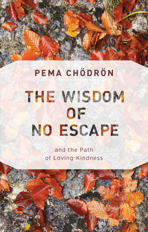 Cover image for book The Wisdom of No Escape