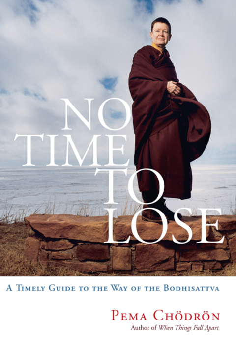 Cover image for book No Time to Lose