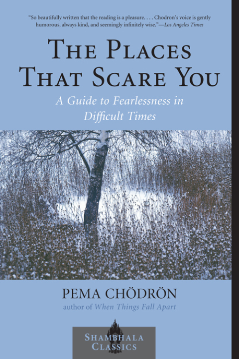 Cover image for book The Places That Scare You