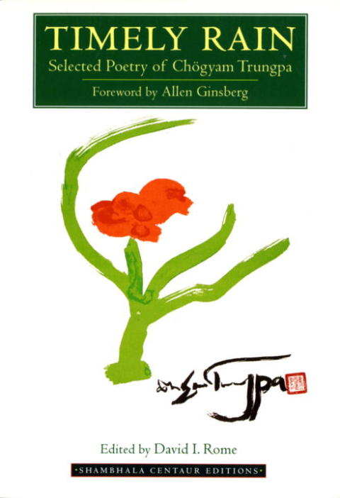 Cover image for book Timely Rain