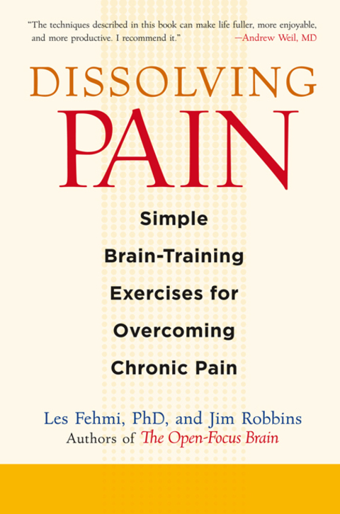 Cover image for book Dissolving Pain