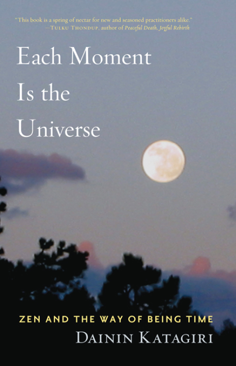 Cover image for book Each Moment Is the Universe
