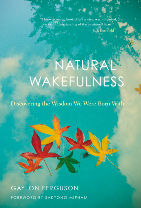 Cover image for book Natural Wakefulness