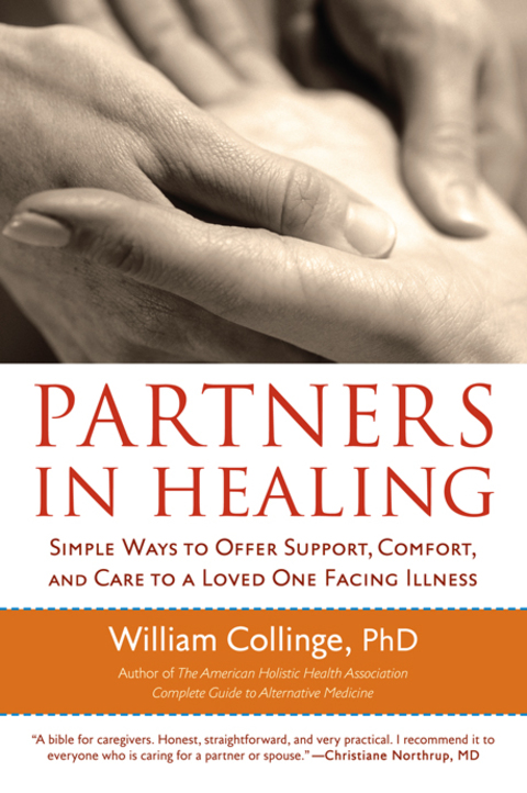 Cover image for book Partners in Healing