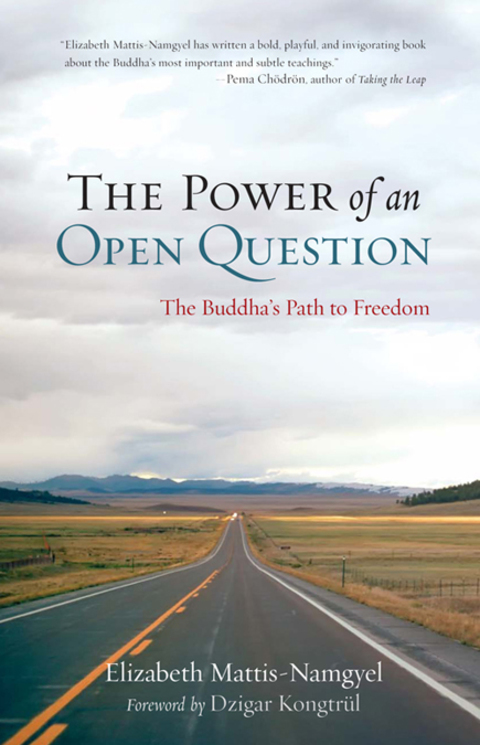 Cover image for book The Power of an Open Question