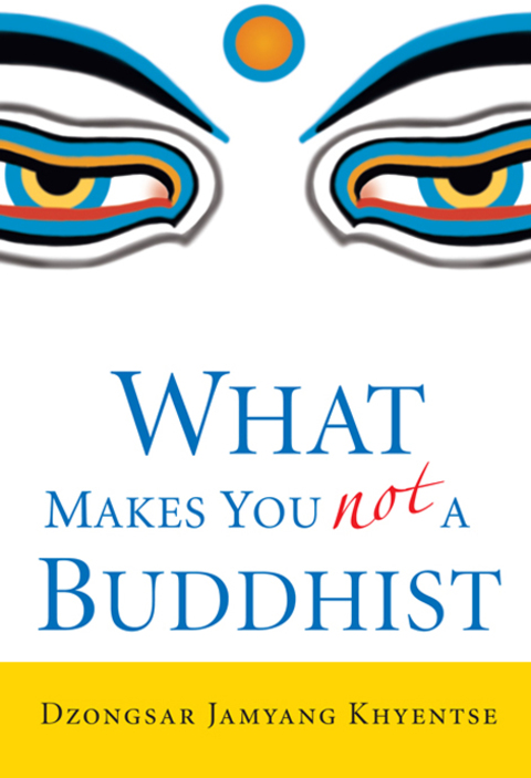 Cover image for book What Makes You Not a Buddhist