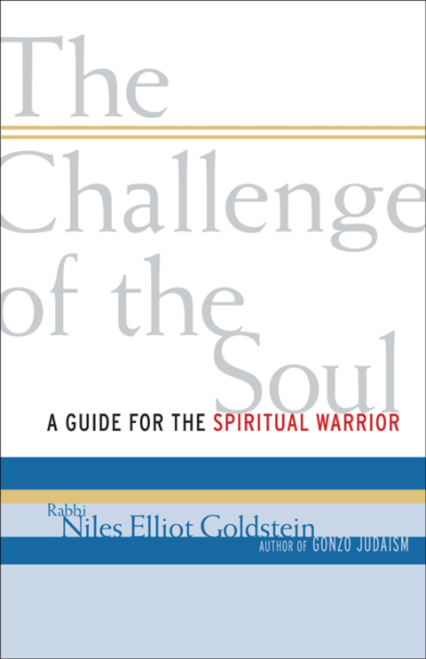 Cover image for book The Challenge of the Soul