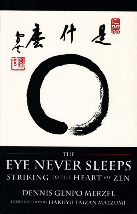 Cover image for book The Eye Never Sleeps