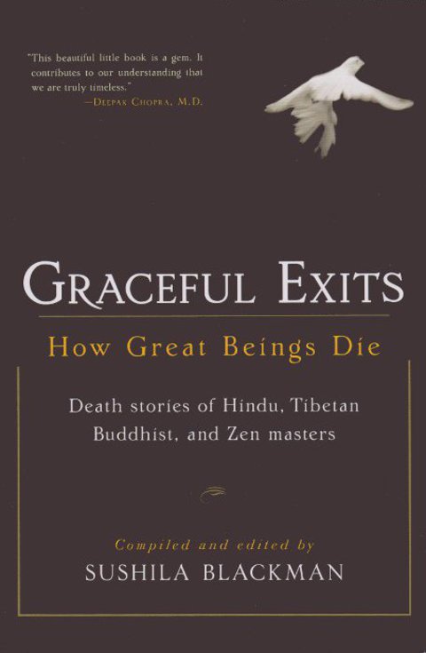 Cover image for book Graceful Exits