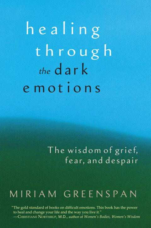 Cover image for book Healing through the Dark Emotions