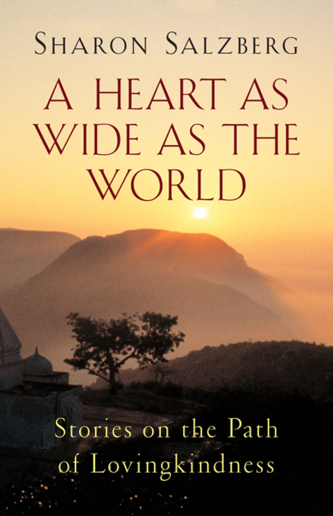 Cover image for book A Heart as Wide as the World