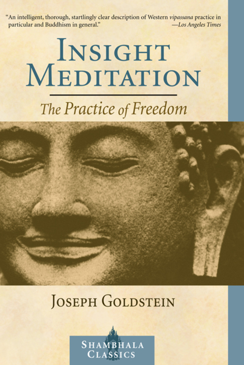 Cover image for book Insight Meditation