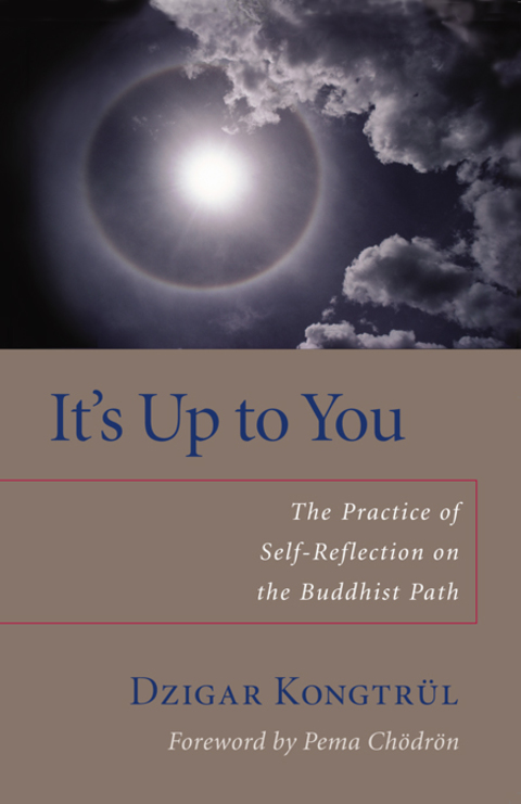 Cover image for book It's Up to You